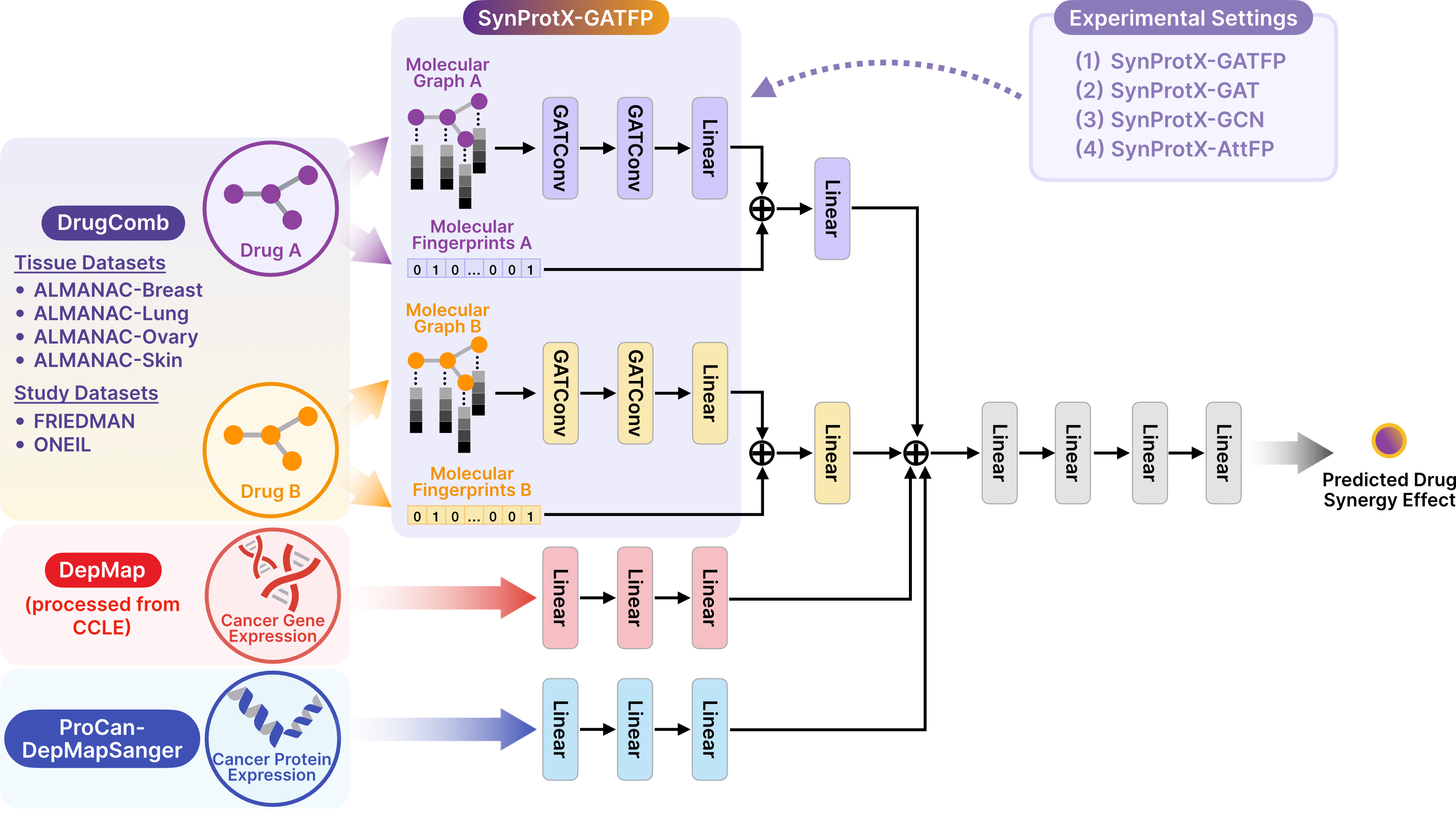 SynProtX deep learning model architecture and data flow diagram